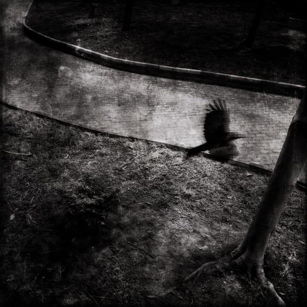 免费DDOS攻击测试工具